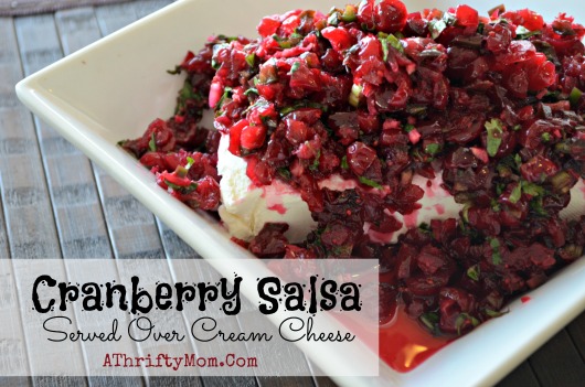 Cranberry Salsa Dip served over Cream Cheese, this recipe is amazing. I did not want to try it at first now i LOVE LOVE LOVE it!