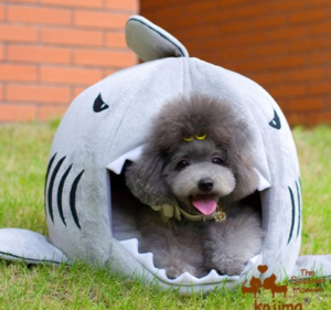 Shark dog create