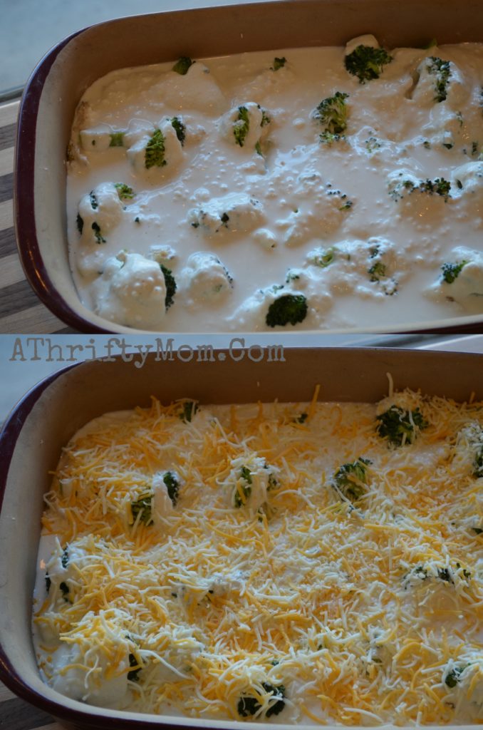 Chicken and Brocoli Cheesy Biscuit Bake, Made in 4 simple steps and taste great!