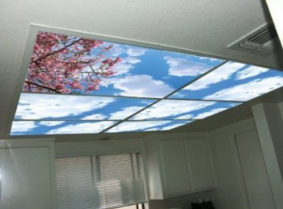 skylight panels
