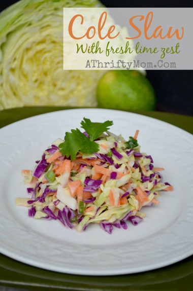 Cole Slaw Recipe with Fresh Lime Zest, This is a new FRESH twist on cole slaw that you will love #Lime #Cabbage #ColeSlaw #Sidedish #Recipe