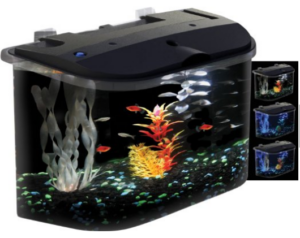 Inexpensive fish tank