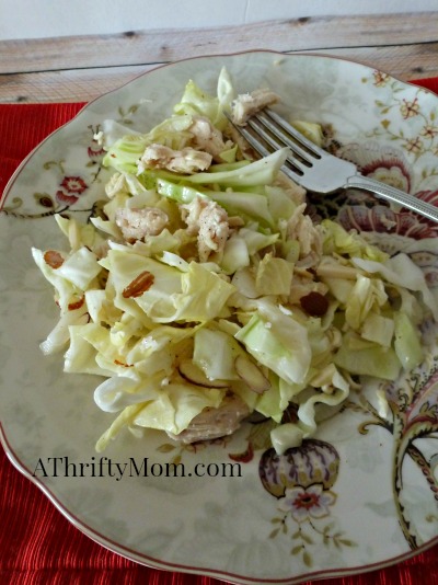 chinese chicken salad ~ easy summer meal ideas, #salad, #summermeals,  #recipes, #thriftyrecipes, #thriftyfood, #thriftymeals, #food, #recipe, #salad