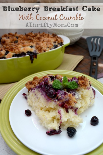 Blueberry Breakfast Cake with Coconut Crumble #recipe #Breakfast