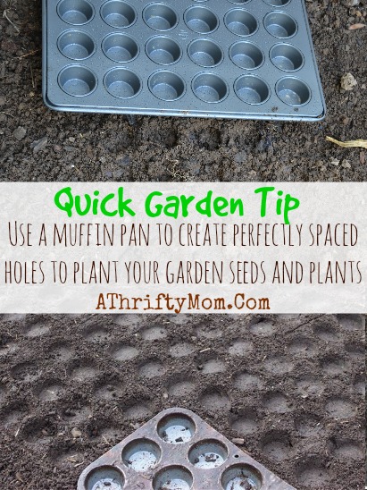 Garden Tip on planting seeds, use a muffin pan to press holes into your dirt to form perfectly spaced holes for planting #Garden, #Tips, #Kids