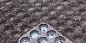 muffin tin to make planting spaces