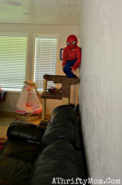 spiderman on the cat stand