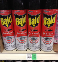 Raid-Ant-Roach