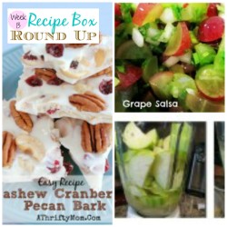Recipe Box ~ Grape Salsa, Veggie brownies, Festive bark