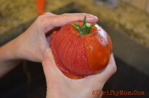 How to can Tomatoes, a step by step guide on how to can tomatoes #canning, #Tomatoes ,
