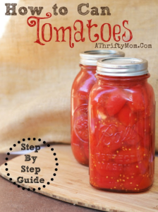 How to can Tomatoes, a step by step guide on how to can tomatoes #canning, #Tomatoes,