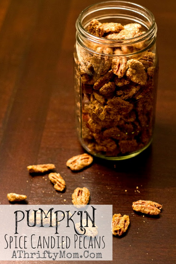 Pumpkin Spice Candied Pecans Recipe #Fall #Recipe