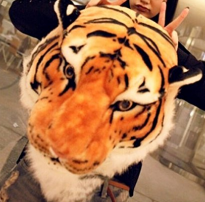 tiger orange head backpack