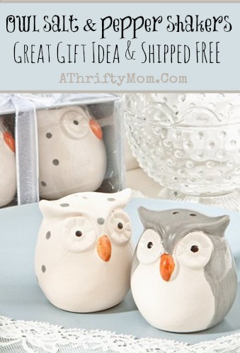 Owl Salt and Pepper shakers, Best Sellers List on Amazon #Owls, #Kitchen, #GiftIdeas,jpg
