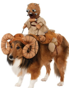 Star Wars Dog Costume