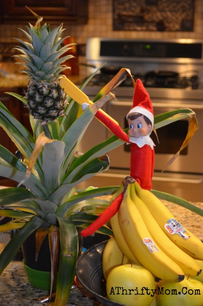 Elf On The Shelf Ideas, Quick and Easy Ideas for your Christmas Family Tradition of Elf on the Shelf. What to so with your silly Elf, Day 3