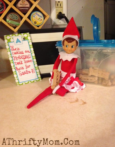 Elf on the Shelf easy ideas, What to do with your Elf, Silly Ideas for your Christmas Elf on the Shelf day 3
