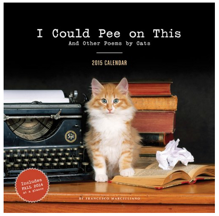 I Could Pee On This and Other Poems By Cats 2015 Calendar