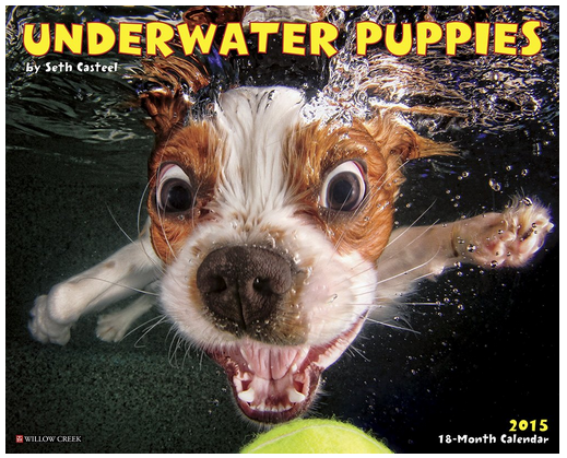 Underwater Puppies 2015 Calendar
