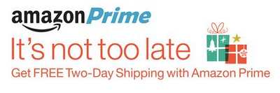 prime shipping - 2 day shipping in time for Christmas