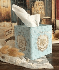 Kleenex or tissue box cover, storage for that ugly kleenex box, Shabby Chic room decor
