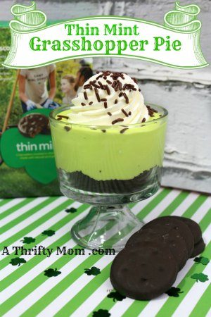 Girl Scout Cookie Recipe – Thin Mint Grasshopper Pie #EasyDessertRecipe
