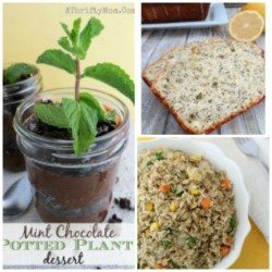 Edible potted plant, lemon poppy seed bread and fried rice