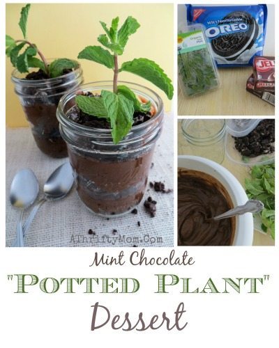 Garden Party Dessert Ideas, Potted Mint Chocolate Plant Parfaits, Garden Party Favors, Spring and summer dessert ideas great for baby showers, Weddings, bridal showers