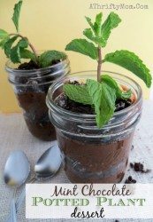 Garden Party Dessert Ideas, Potted Mint Chocolate Plant Parfaits, Garden Party Favors, Spring and summer dessert ideas great for baby showers,   Weddings,   bridal showers