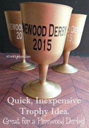 quick, inexpensive trophy idea, great for a pinewood derby, #trophy, #spraypaint, #plasticcup, #vinyl, #easycraft, #thriftycraft,#thriftytrophy, #scouting, #scoutleaderidea