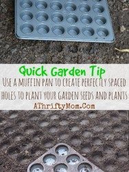 Garden-Tip-on-planting-seeds-use-a-muffin-pan-to-press-holes-into-your-dirt-to-form-perfectly-spaced-holes-for-planting-Garden-Tips-Kids