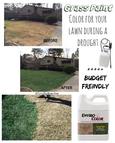 Save water and paint your lawn green, great options for those who are in a drought, budget freindly too