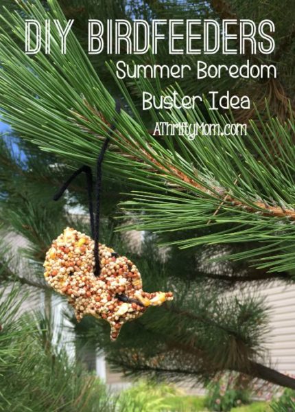 diy birdfeeder, summer boredom buster idea. summer. birdfeeder. birdseed, diy craft, inexpensive craft idea. kids craft, thrifty craft idea