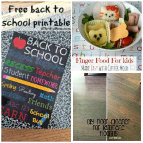 Bento box lunch, back to school printable, floor cleaner for laminate flooring