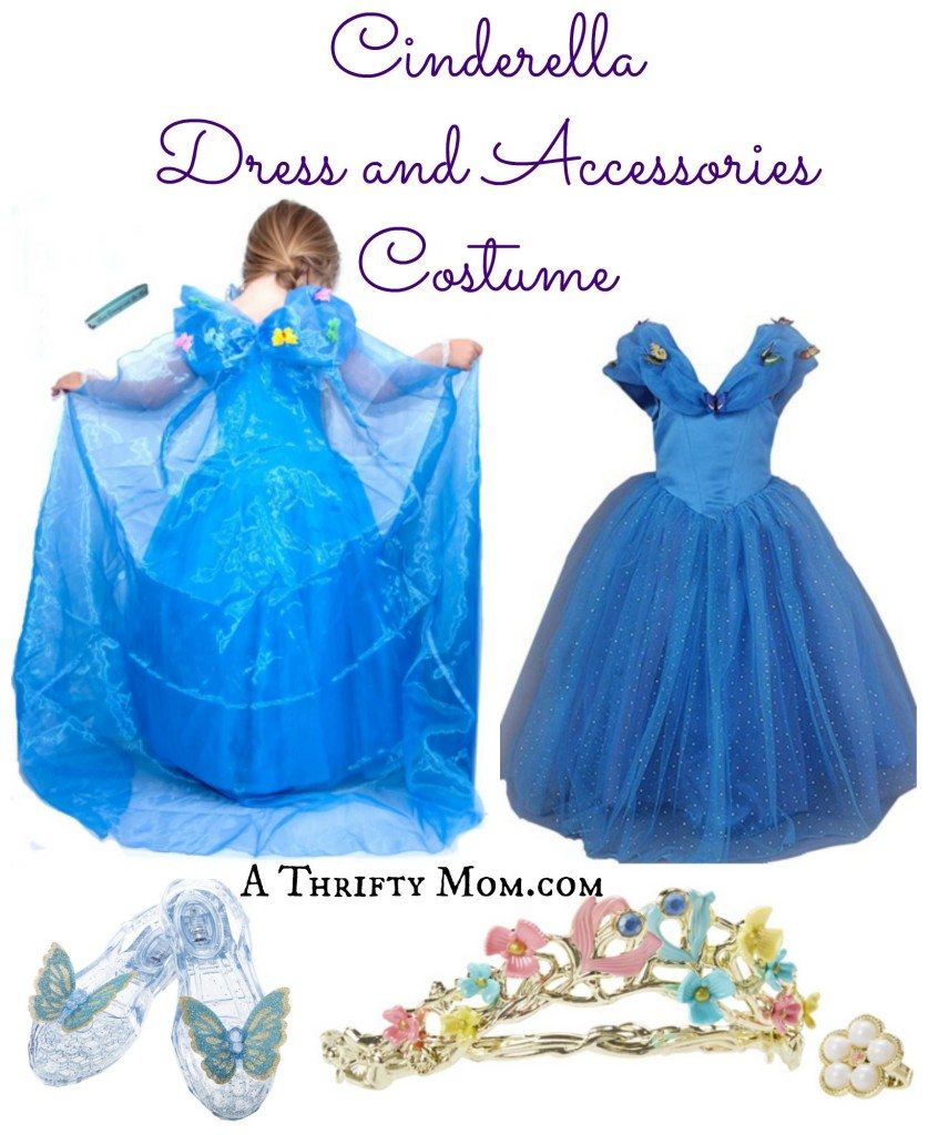 Cinderella Dress and Accessories Costume for Girls