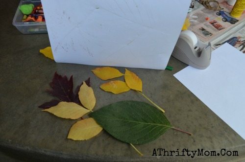 Fall craft projects for kids, LEAF RUBBING perfect for school age children, girl scout or boy scout craft ideas that are both educational and low cost