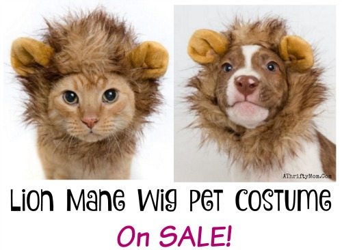 pet costume, lion big hat for cats or small dog, pet hacks