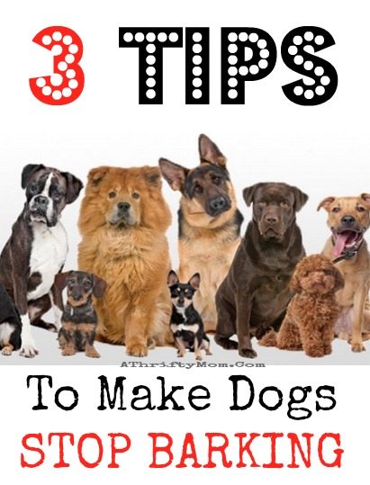 how-to-make-dogs-STOP-barking-3-ways-that-will-change-your-life-and-make-you-love-your-dog-again-pet-tricks