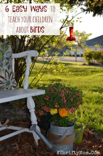 6 Easy Ways To Teach Your Children About Birds , Bird feeders at ACE Hardware, Fiary Garden Ideas , where to buy birdfeeders, how to make bird feeders with your family, family activities to do outside, ad