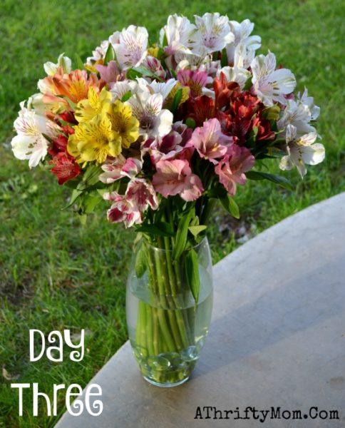Best place to get low cost fresh flowers shipped Bloombox flowers are beautiful and won't break the bank, Fresh Flowers Discount Code, Mothers Day gift ideas, review, ad