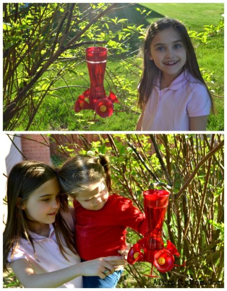 Bird feeders at ACE Hardware, Hummingbird feeders , where to buy birdfeeders, how to make bird feeders with your family, family activities to do outside, ad