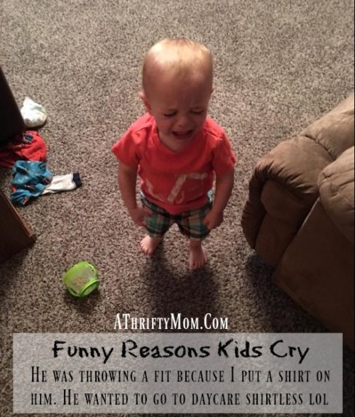 funny-reasons-kids-cry-kids-get-upset-over-the-silliest-things-these-will-make-you-laugh  - A Thrifty Mom - Recipes, Crafts, DIY and more