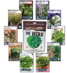 Sustainable Seed 10 Variety Culinary Herb Seed Collection – 100 percent NON GMO Heirloom Basil, Chives, Cilantro, Dill, Lavender, Oregano, Parsley, Rosemary, Sage, Thyme for Planting an Heirloom Herb Garden