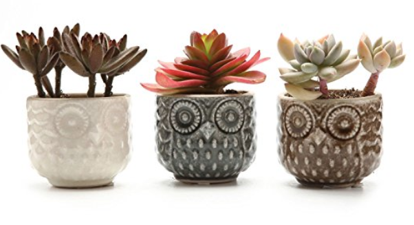 Ceramic Owl Plant Pots