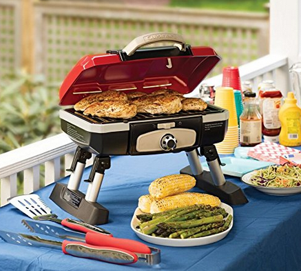 Portable Grills for Summer