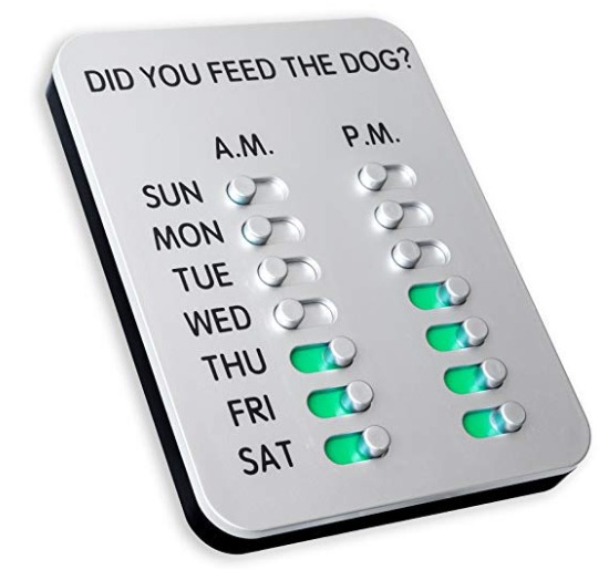 Did you feed the dog?