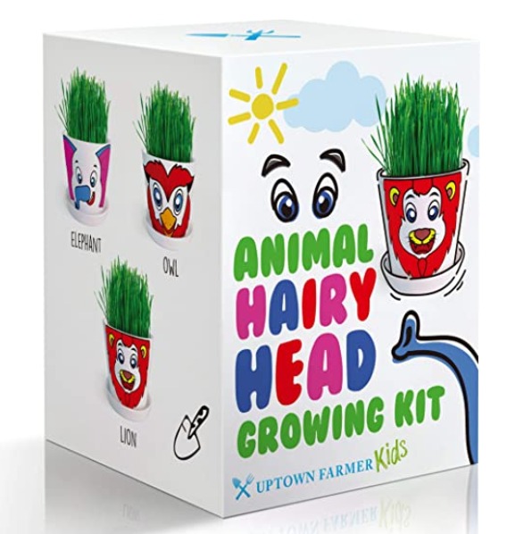 Growing kit for kids