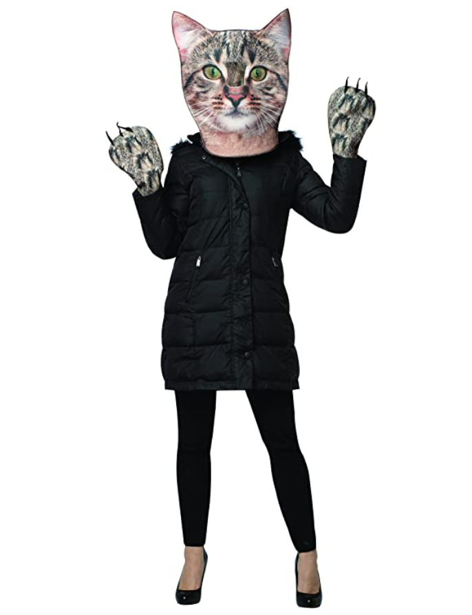 Cat mask and paws costume