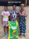 bag-of-rice-project-282