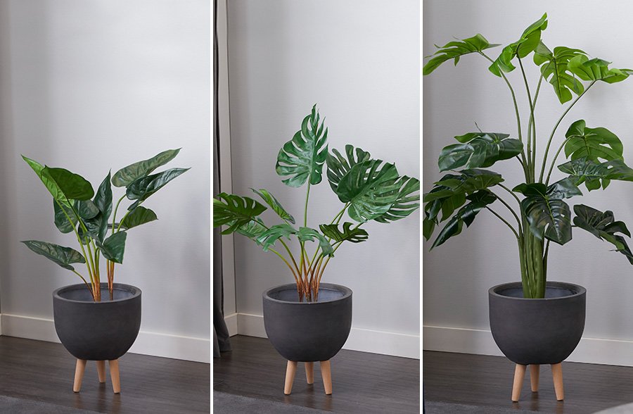 Natural looking potted plants